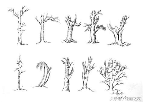 外格15 樹怎麼畫